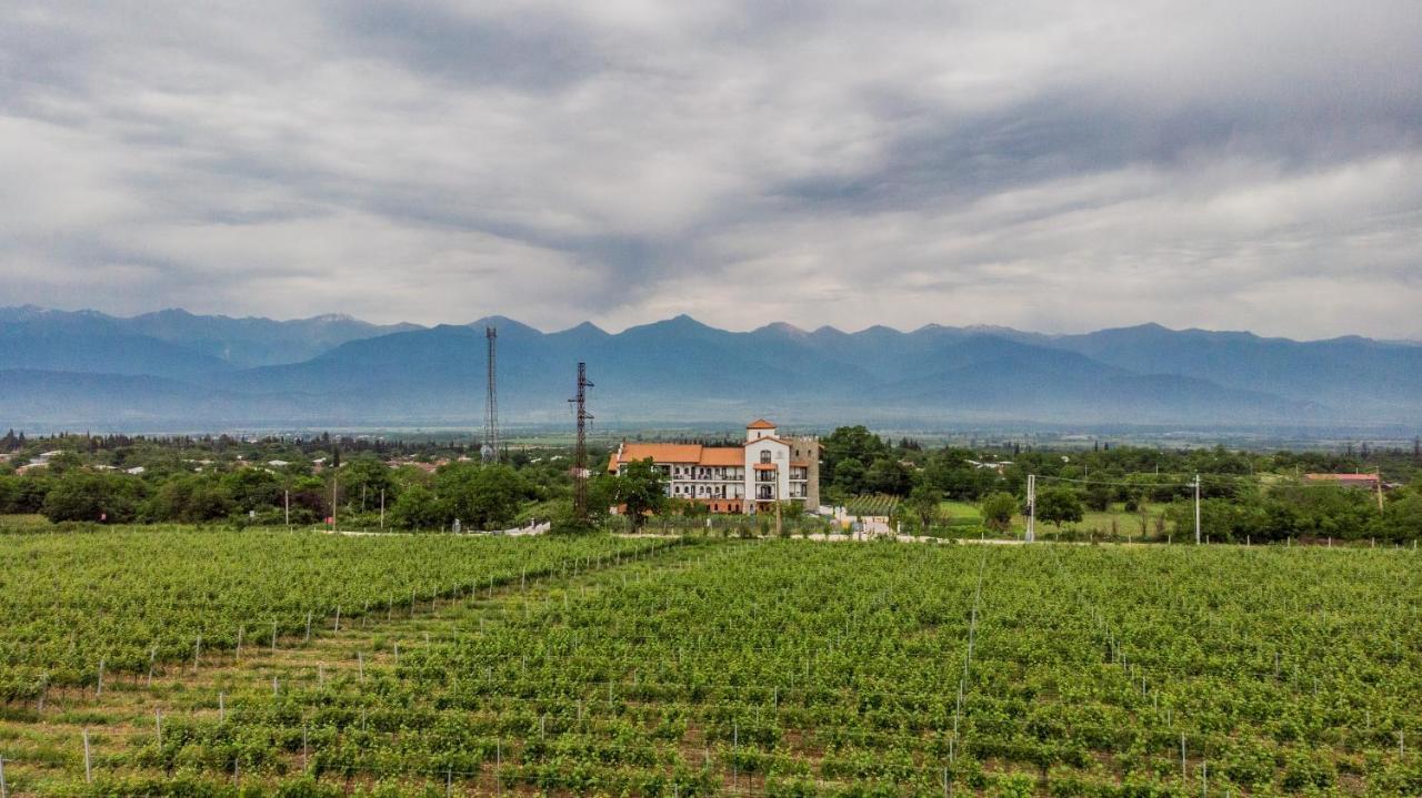 Tsinandali Resort & Spa Экстерьер фото