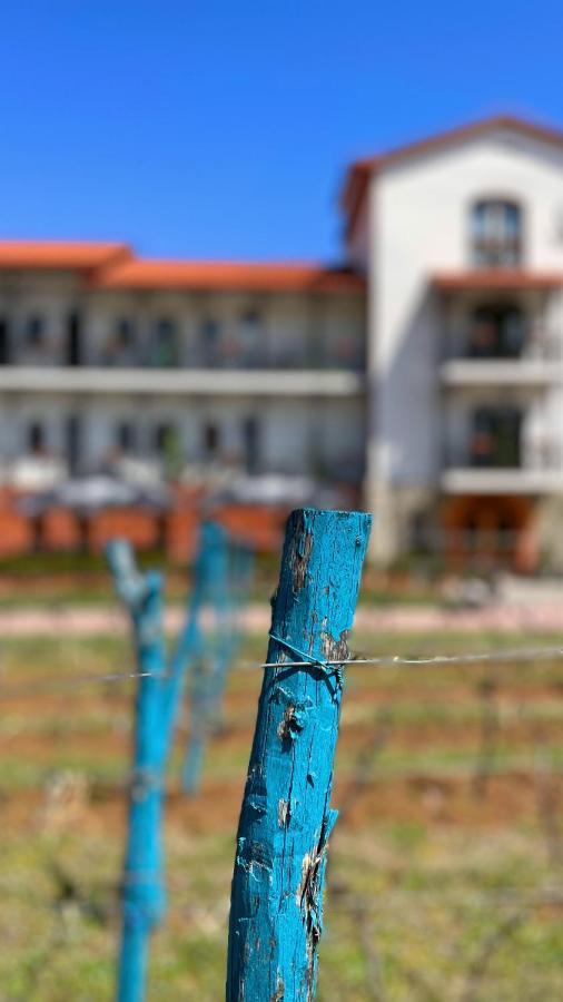 Tsinandali Resort & Spa Экстерьер фото